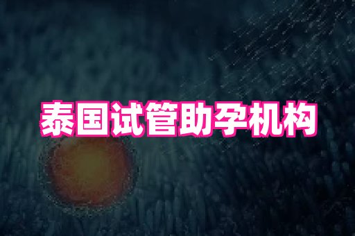 swisee孕网 1