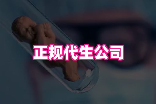 swisee孕网 3
