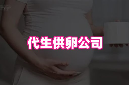 swisee孕网 4